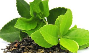 What is Green Tea Extract—Is it Good or Bad for Your Skin? (March 2020)
