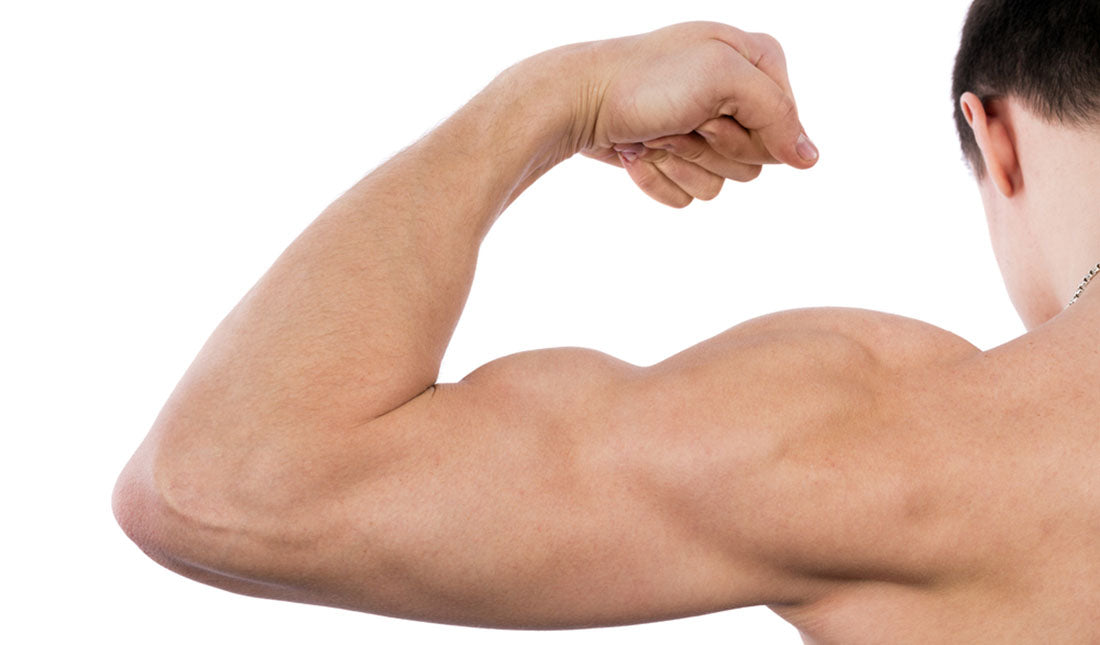 Bicep Curls vs. Hammer Curls – Fastest Way to Cut Arms – Tiege Hanley